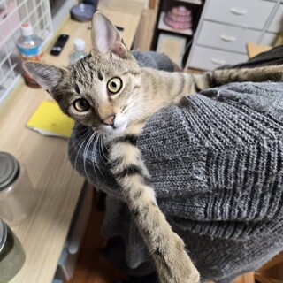 とってもとっても甘えん坊の男の子