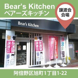 保護ねこの家譲渡会 in 天王寺 サムネイル2