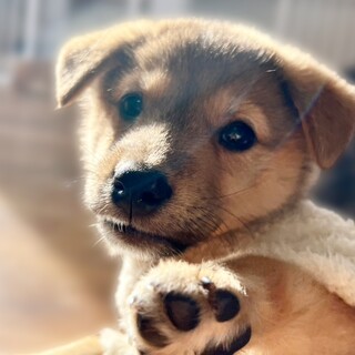 元気いっぱいのかつおくん☆