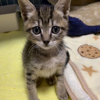 7兄妹のお姉さん的存在の先生ちゃん♡