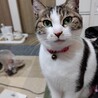 急募！ サムネイル2