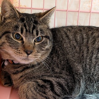 緊急！今週末寒い外へリリースする男の子