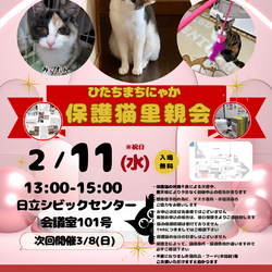 ひたちまちにゃか保護猫里親会