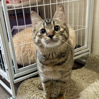 ���������̏��̎q���N���~�����