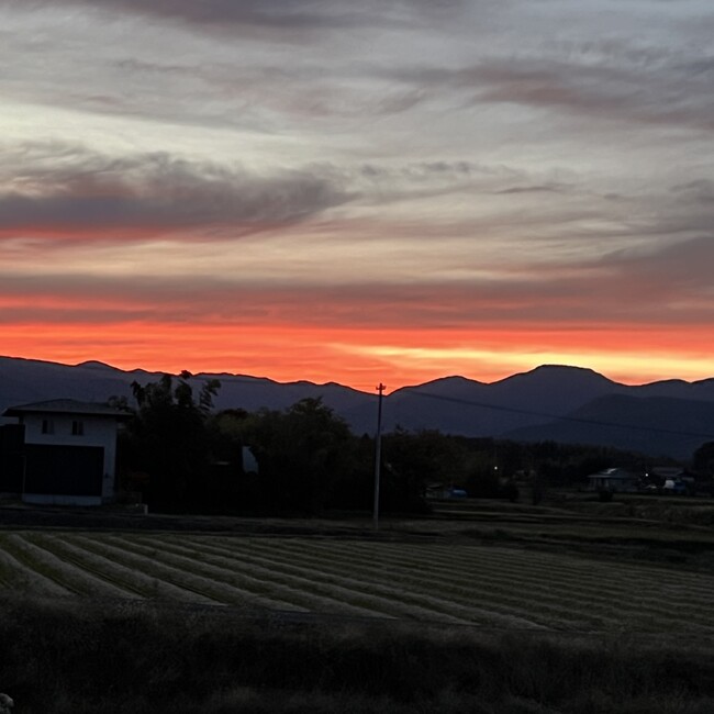 保護猫ちゃんのカバー写真
