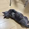 はなわえり