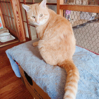 �F�D�I�Ȓ��g���@���b�L�[