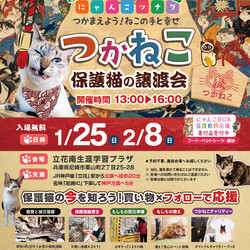 つかねこ譲渡会