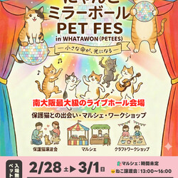 にゃんこ ミラーボール PET FES in WHATAWON（PETEES） サムネイル1