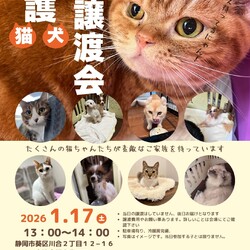 保護猫＆保護犬　譲渡会