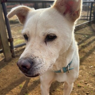 【バニラ】人が大好きな男の子