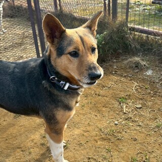 【もずく】人が大好き女の子