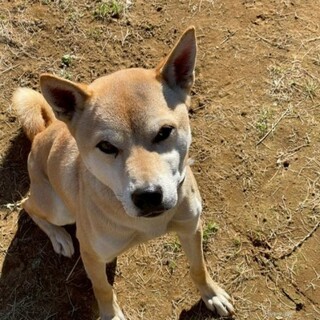 【むてき】人が大好きな６歳の男の子