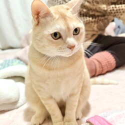 「マーク2025‼️」サムネイル2