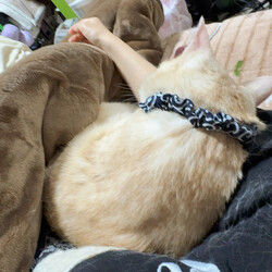 「マーク2025‼️」サムネイル3