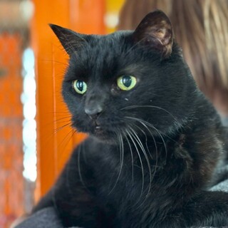 【きゅう】とても人懐っこい子☆