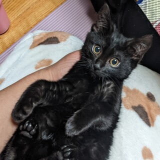 トライアル中♡フレンドリーなういくん