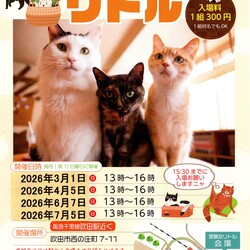 【大阪吹田】ネコの里親会リトル