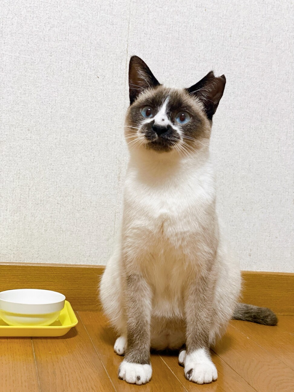 パンちゃん子 サムネイル2