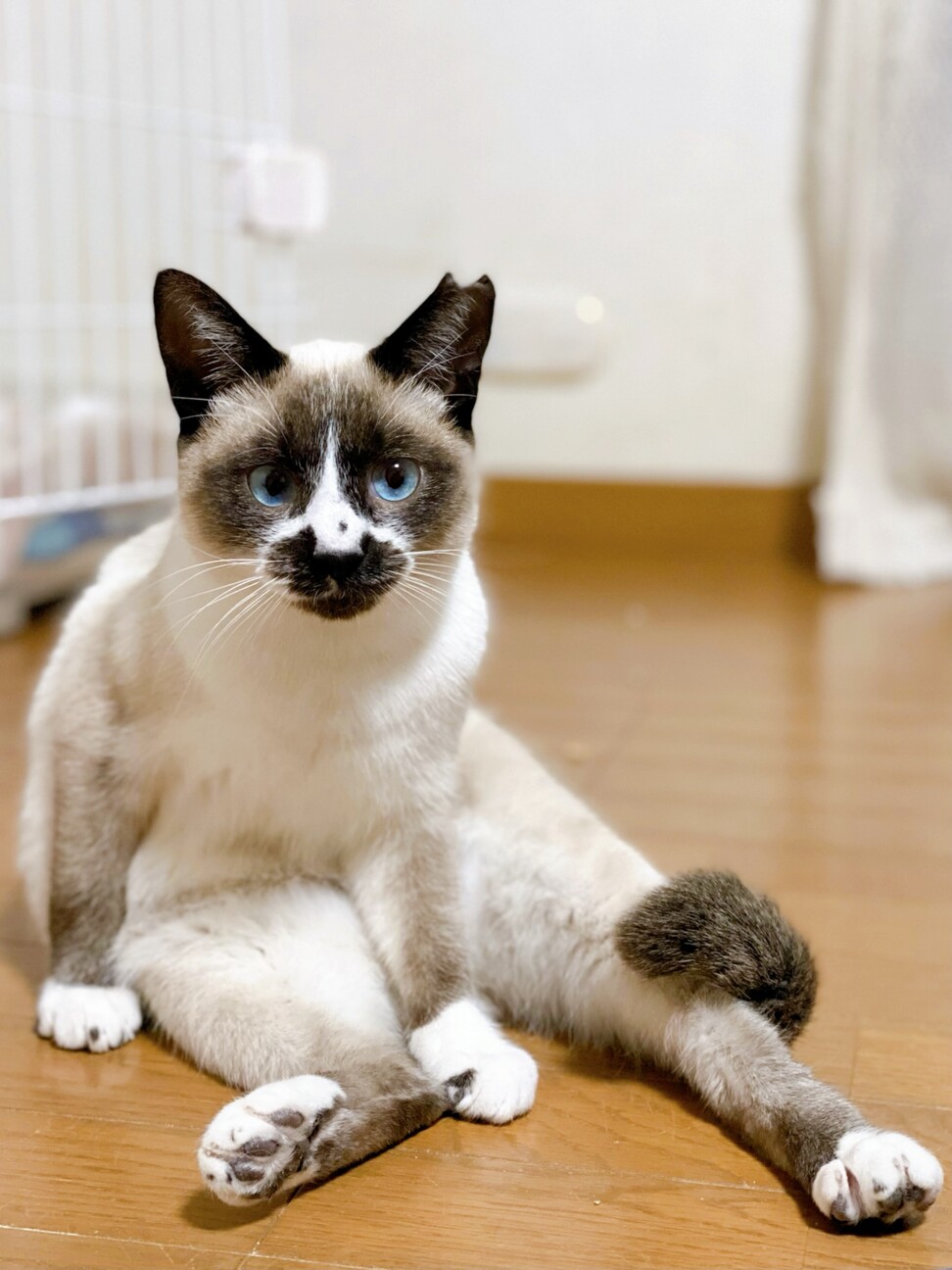 パンちゃん子 サムネイル7