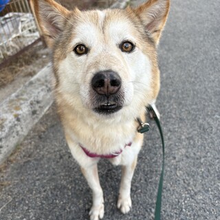 イケワンな【ニョロボン】君