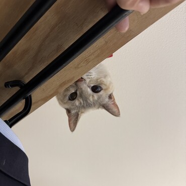 の写真