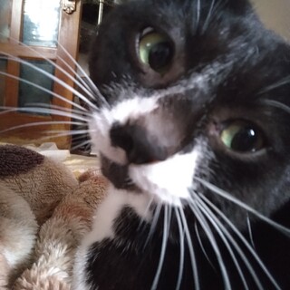 男の子7歳おしゃべりが大好きなので子です