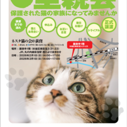 ネスタ猫の里親会@荻窪