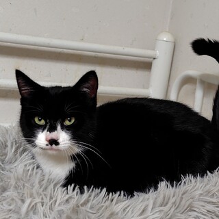 人懐こい女の子