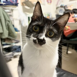 見た目平凡、性格平凡、最高よね？