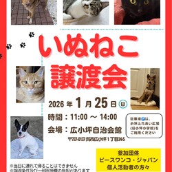 いぬねこ譲渡会