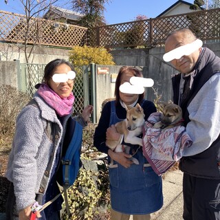 チロルちゃんになりました