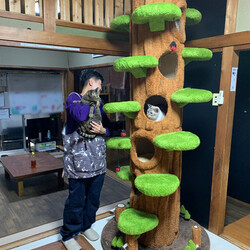 「猫の駅」保護猫譲渡会 サムネイル3