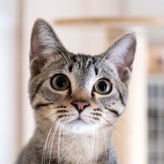 2/8高田馬場★らいむぎくん★おしゃべり男子