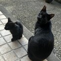 一歳くらいの若い男の子