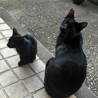 一歳くらいの若い男の子