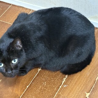 大ケガから復活した優しい翔くんです⭐︎