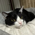 ナーンと鳴く甘えん坊男の子2歳