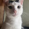 里親を探しています。 サムネイル5