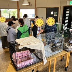 日進市にて譲渡会＆相談会開催 サムネイル3