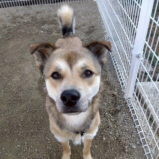 優しくて甘えたさん⭐︎イケワンの蓮音くん⭐︎