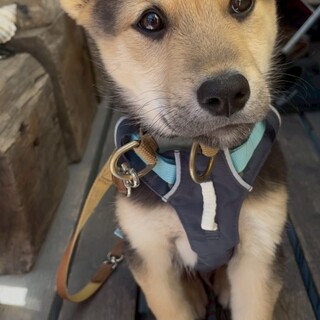 食欲もりもり！2025年11月ごろ生まれ