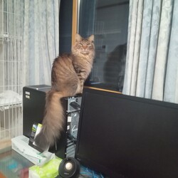 暗くなってもお外を見たい！