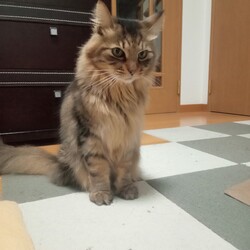 「暗くなってもお外を見たい！」サムネイル2