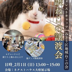 保護猫譲渡会！合同開催　愛知県大府市