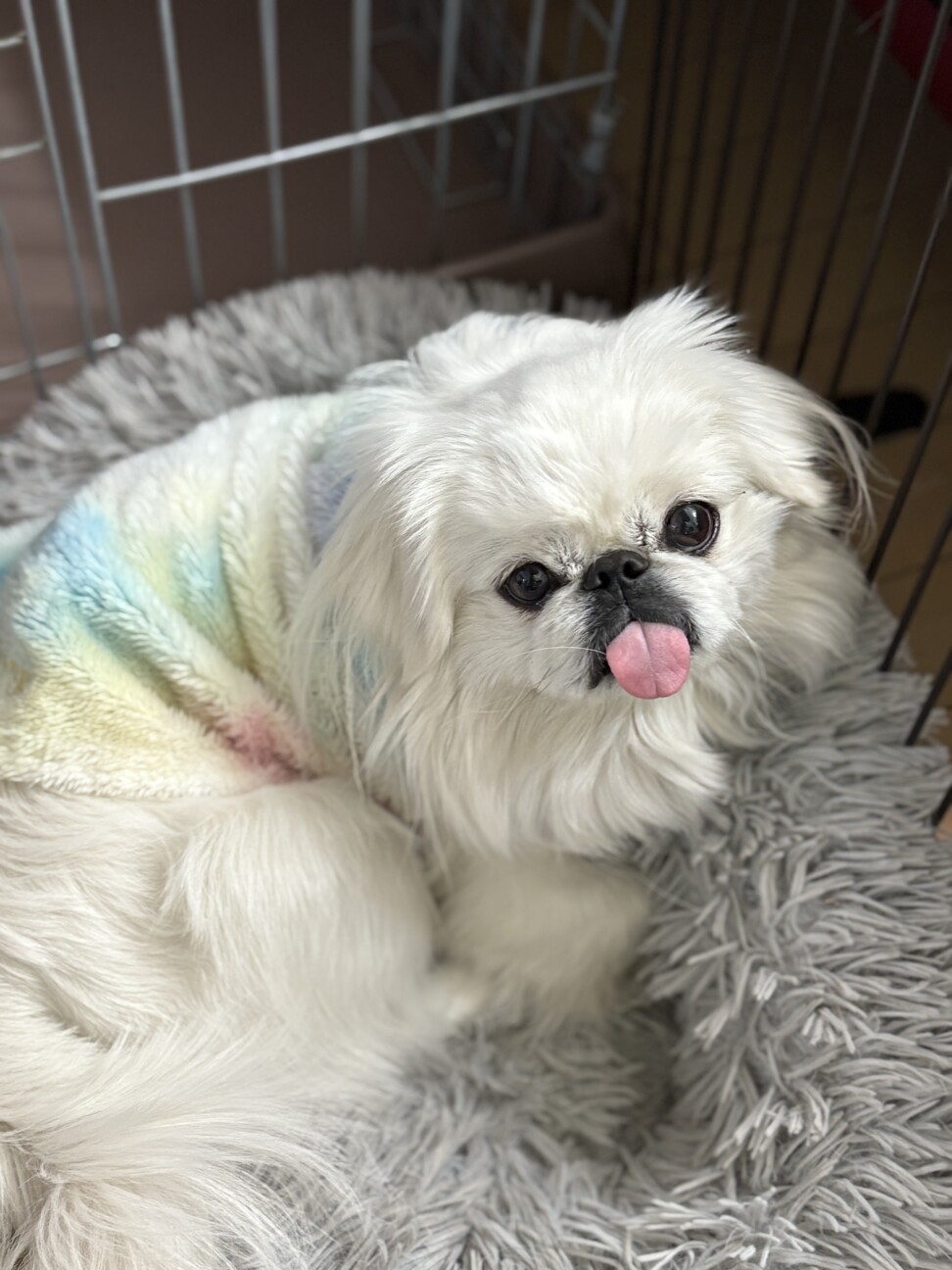 ゆえ
