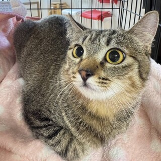 おめめクリクリ！超美少女ゆずちゃん♡