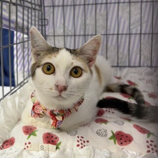 【1/25東銀座】ういちゃん★９ヵ月♪