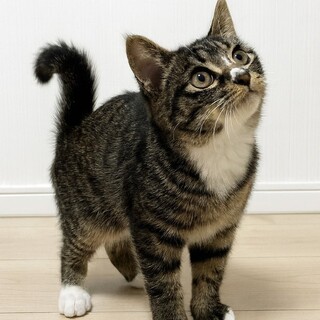 【1/25東銀座】さくちゃん★２ヵ月半♪