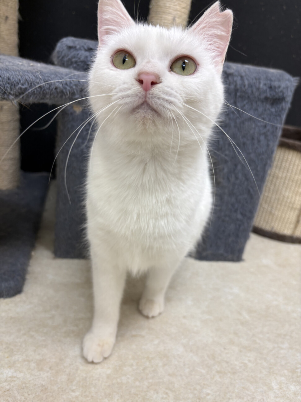 甘えん坊な美少女ゆきみ サムネイル2